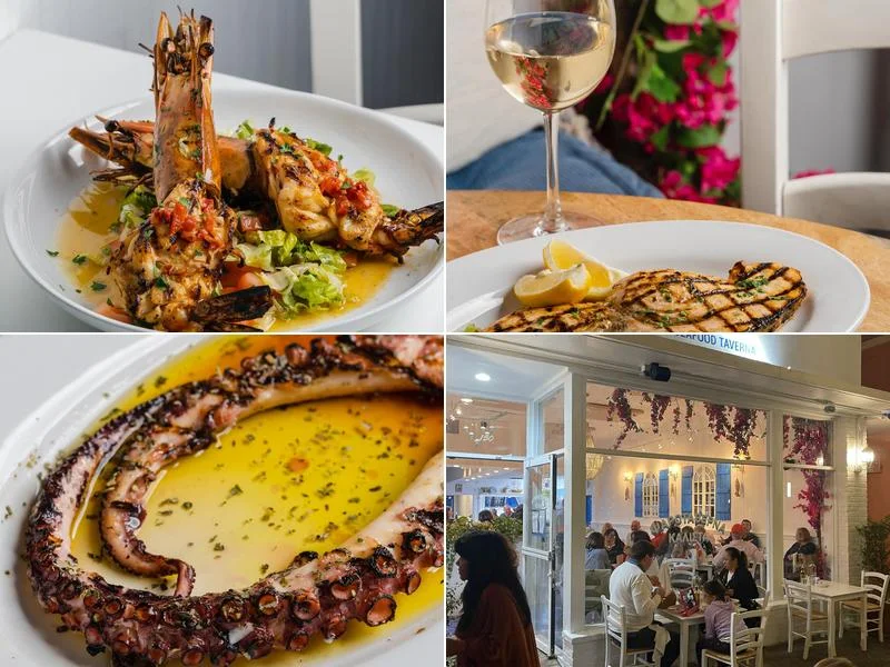 Calista Greek Seafood Taverna business photo